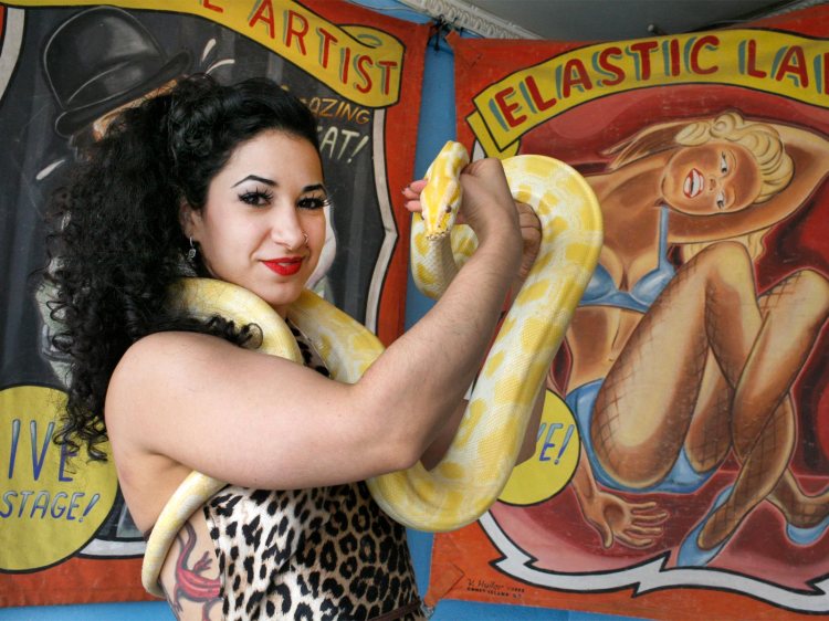 84656250_603193503590693_5001684446361944064_n